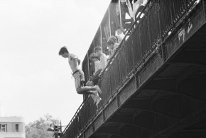 Eclosions imprévues