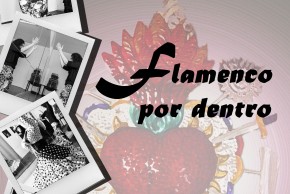 Agrandir l'image - fenêtre modale