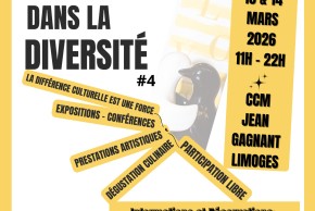 Festival Unité dans la Diversité