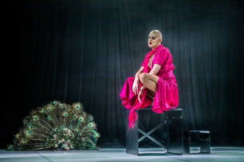 Drag