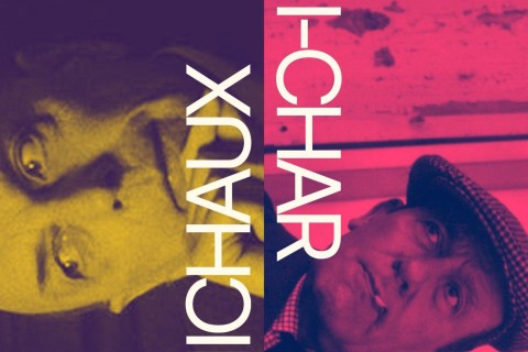 Michaux mi-Char : deux poètes dans les preuves